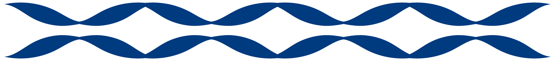 Two parallel rows of wavy dark blue lines, each wave featuring broad peaks and valleys, set against a white background.